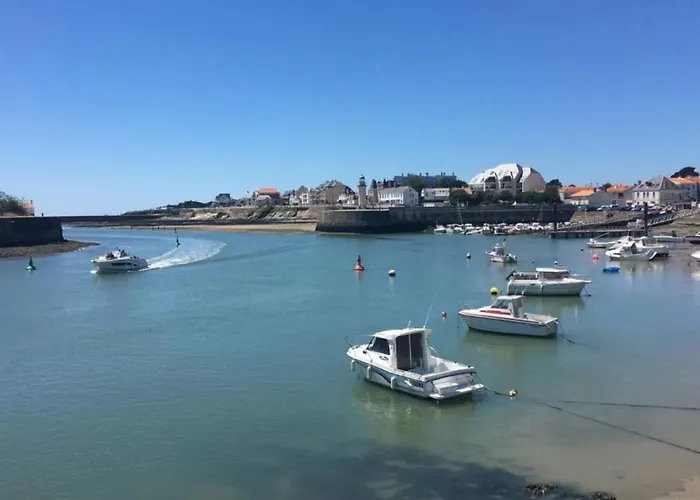 Maraichine Renovee, Grand Jardin Et Wifi, Entre Et Marche *